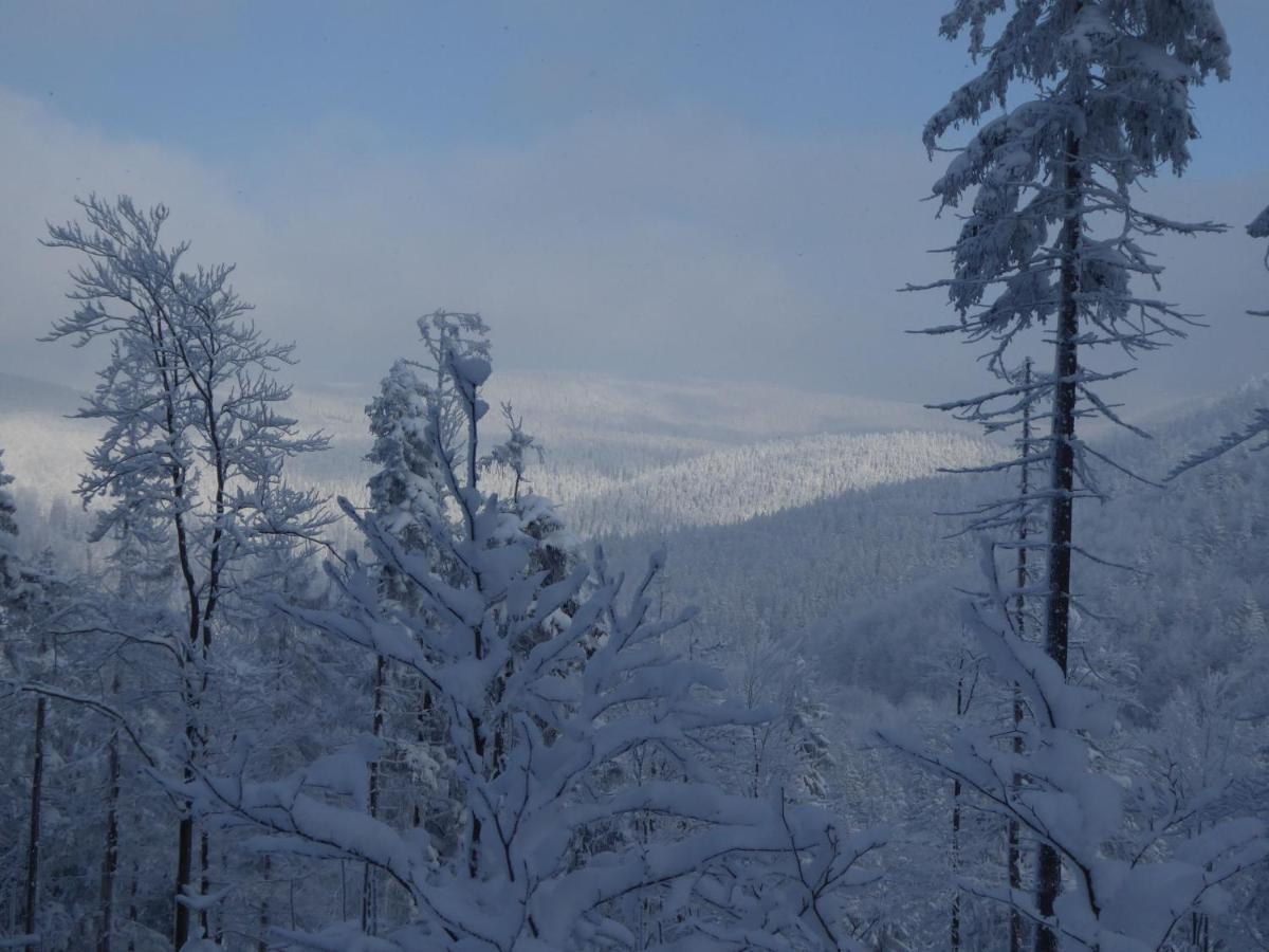 Goscinne - Za Borem *