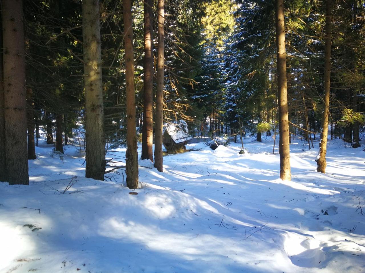 Goscinne - Za Borem *